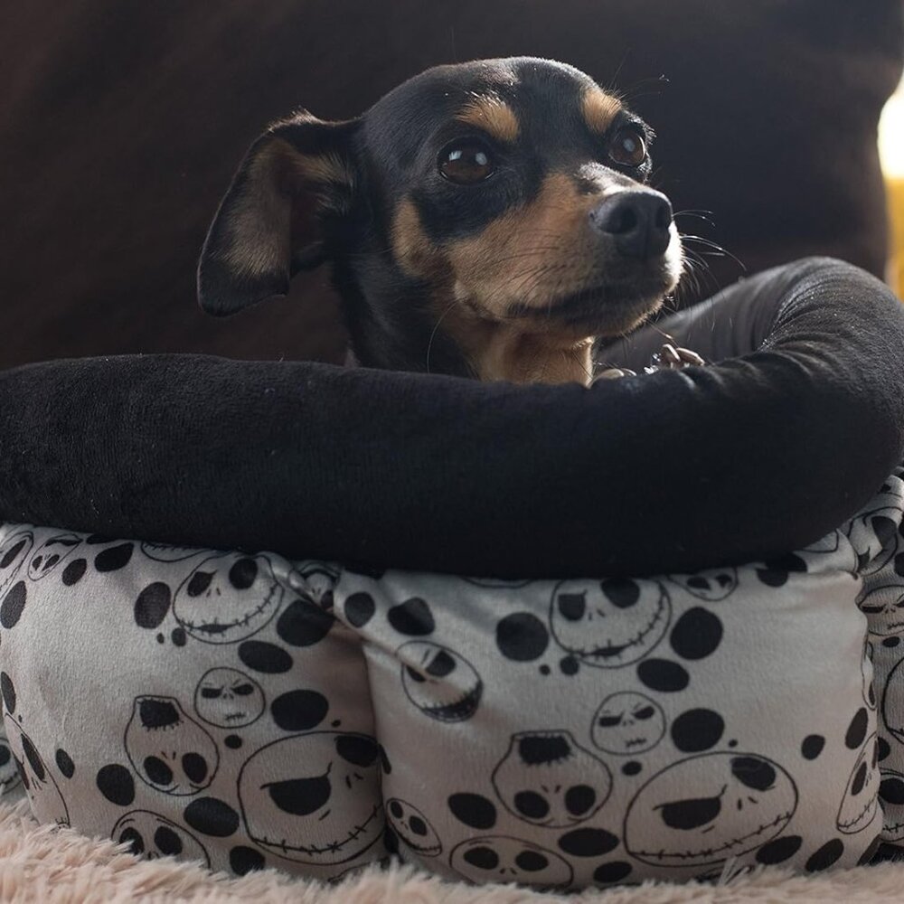Rare Disney Nightmare Before Christmas Dog Cat Pet Bed BNWT